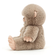 Load image into Gallery viewer, Jellycat Bo Bigfoot