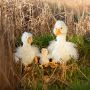 Load image into Gallery viewer, Wrendale Designs 'Pearl' Goose Plush Character