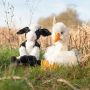 Load image into Gallery viewer, Wrendale Designs 'Mathilda' Cow Plush Character
