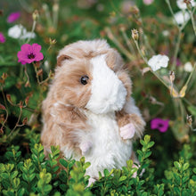 Load image into Gallery viewer, Wrendale Daphne Guinea Pig