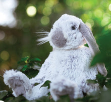 Load image into Gallery viewer, Wrendale Designs 'Rosie' Rabbit Plush Character