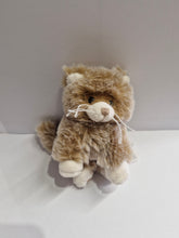 Load image into Gallery viewer, Bukowski Timothy Keyring