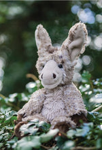 Load image into Gallery viewer, Wrendale Designs Jack Donkey