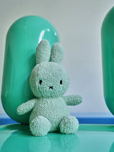 Load image into Gallery viewer, Miffy Terry Soft Green