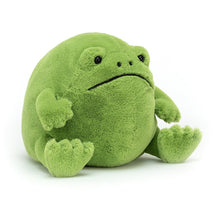 Load image into Gallery viewer, Jellycat Ricky Rain Frog