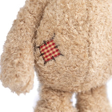 Load image into Gallery viewer, Bukowski Nobody Is Perfect Bear
