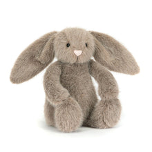 Load image into Gallery viewer, Jellycat Amuseables Football Charity Raffle £3
