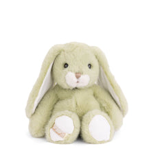 Load image into Gallery viewer, Bukowski Jumpy Bunny Lime
