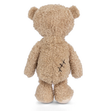 Load image into Gallery viewer, Bukowski Nobody Is Perfect Bear
