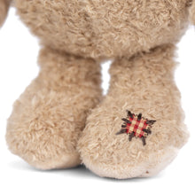 Load image into Gallery viewer, Bukowski Nobody Is Perfect Bear
