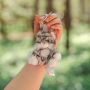 Load image into Gallery viewer, Wrendale 'Esmeralda' Cat Plush Keyring
