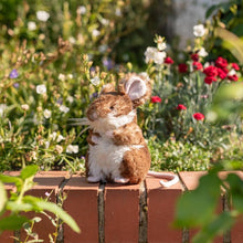 Load image into Gallery viewer, Wrendale Designs Oliver Mouse

