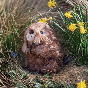 Wrendale Designs Chester Beaver