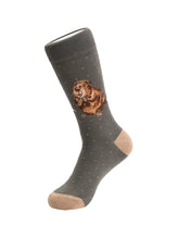 Load image into Gallery viewer, Wrendale Designs 'The Arborist' Beaver Men's Socks
