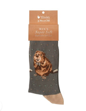 Load image into Gallery viewer, Wrendale Designs 'The Arborist' Beaver Men's Socks
