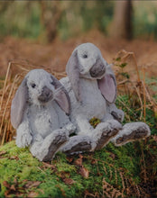 Load image into Gallery viewer, Wrendale Designs 'Rosie' Rabbit Plush Character
