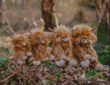 Load image into Gallery viewer, Wrendale Designs 'Gordon' Highland Cow Plush Character
