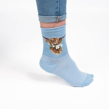 Load image into Gallery viewer, Wrendale Designs &#39;Daisy Coo&#39; Highland Cow Socks

