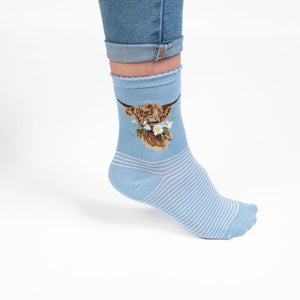 Wrendale Designs 'Daisy Coo' Highland Cow Socks