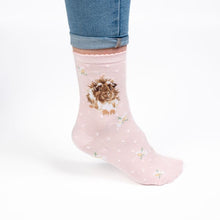 Load image into Gallery viewer, Wrendale Designs 'Grinny Pig' Socks
