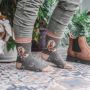 Load image into Gallery viewer, Wrendale Designs 'Gloria' Horse Socks
