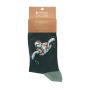Load image into Gallery viewer, Wrendale Designs 'Swimming School' Turtle Socks
