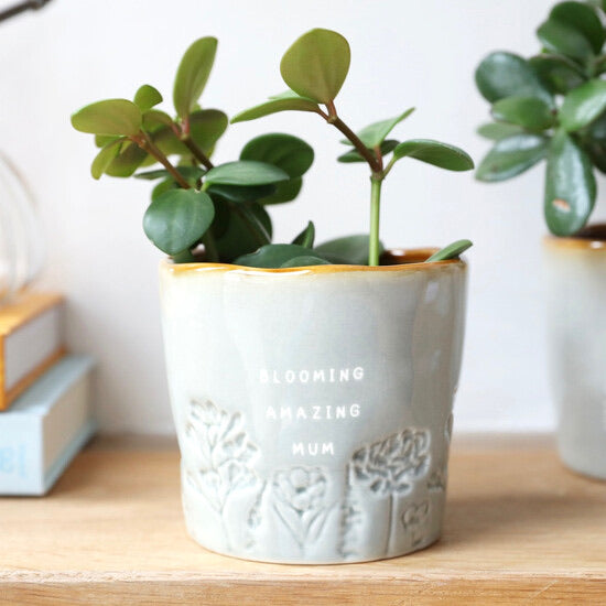 Glazed ombré ‘ Blooming amazing Mum’ planter