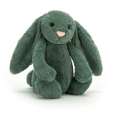 Load image into Gallery viewer, Jellycat Forest Bashful Bunny - new for 2020
